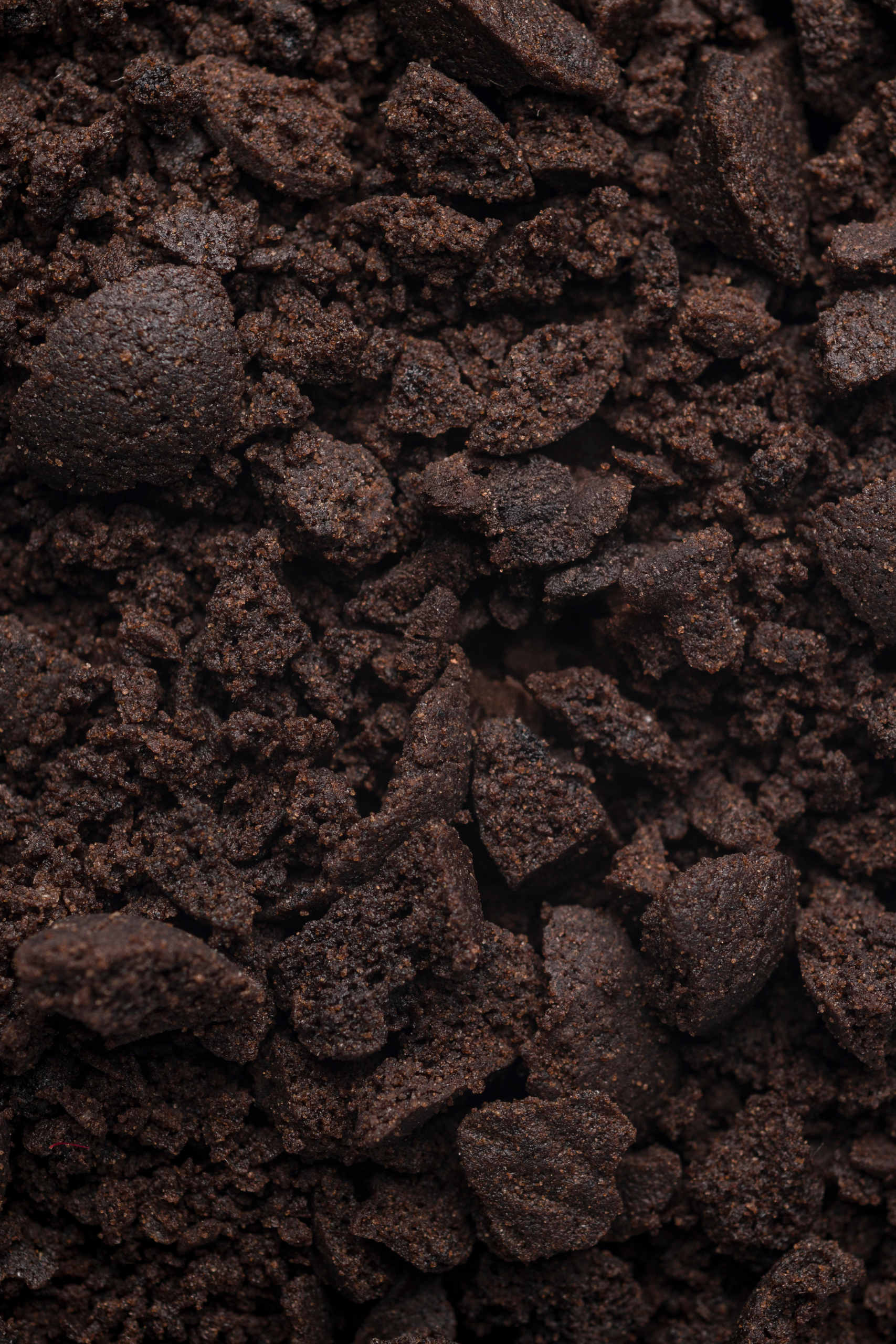 Dark Biscuit Cookie Crumb